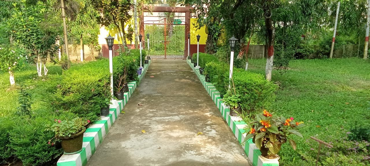 Premium Valley View cottage(Only Room)